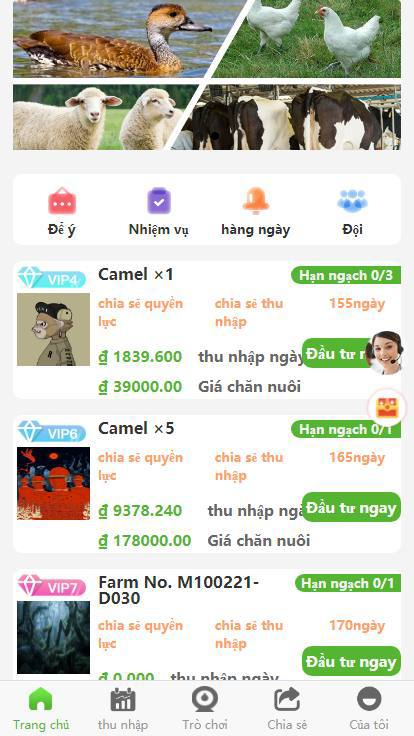 【海外投资理财】  越南文 二开海外版  团队分销 定期投资理财 邀请好友任务推广 分销裂变任务 系统功能基本满足市场同类型的所有系统需求  产品可以后台自己上传
